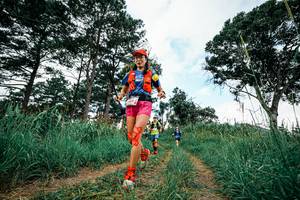 BIB: 
                            <button type="button" onclick="openModal(26038317)" class="btn btn-primary btn-sm float-right btn-popup" data-toggle="modal" data-target=".modal-high-quality">
                        <i class="fas fa-shopping-cart"></i> Add to Cart
                    </button>
                                            <button type="button" onclick="isThisMe(26038317, true)" class="btn btn-success btn-sm float-right btn-popup btn-isme hidden" data-toggle="tooltip" data-placement="bottom" title="นี่คือรูปของคุณใช่ไหม คลิกที่นี่เพื่อเอาเข้าอัลบั้ม">
                        <i class="fas fa-plus"></i> Add to album
                    </button>
                    <button type="button" onclick="isThisMe(26038317, false)" class="btn btn-warning btn-sm float-right btn-popup btn-isnotme hidden">
                        <i class="fas fa-ban"></i> Remove from album
                    </button>